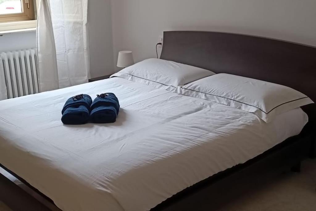 Casa Giafer Apt Luminoso Spazioso Ben Localizzato Florence Ngoại thất bức ảnh